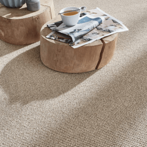 gallery-2eca11_568e47c6a24740cb906516b64a35bcf7~mv2