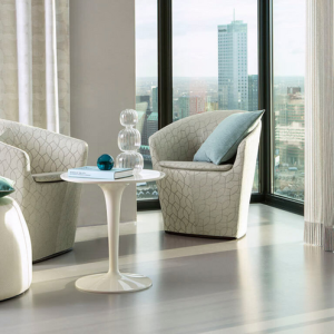 gallery-2eca11_ae21c8424ff5474e932e89644871d6a6~mv2